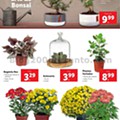 Antevisão Folheto LIDL Promoções de 28 setembro a 4 outubro p24.jpg